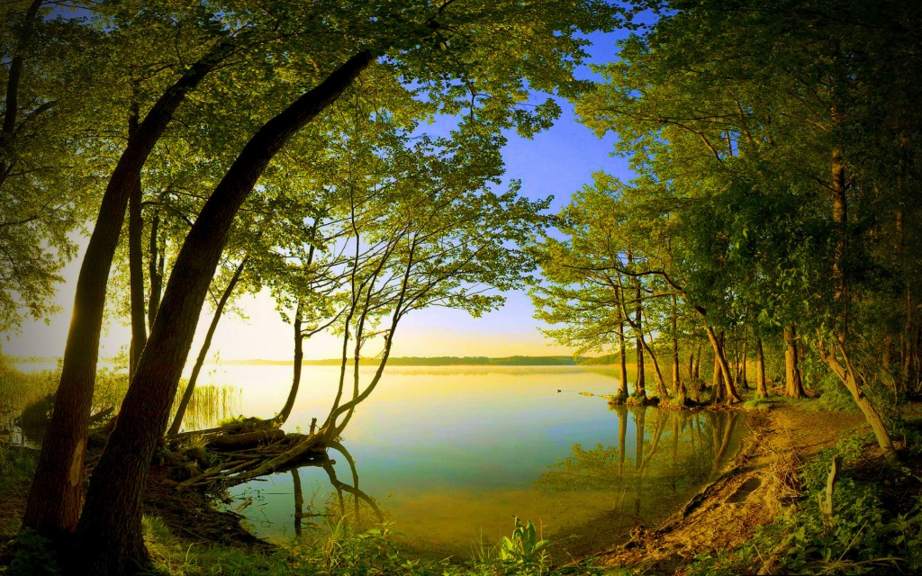 Side-Lake-View-Nature-Wallpaper